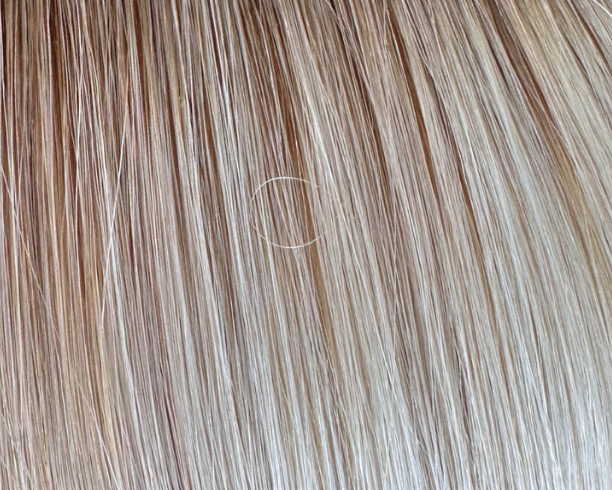 Volume Genius Weft
