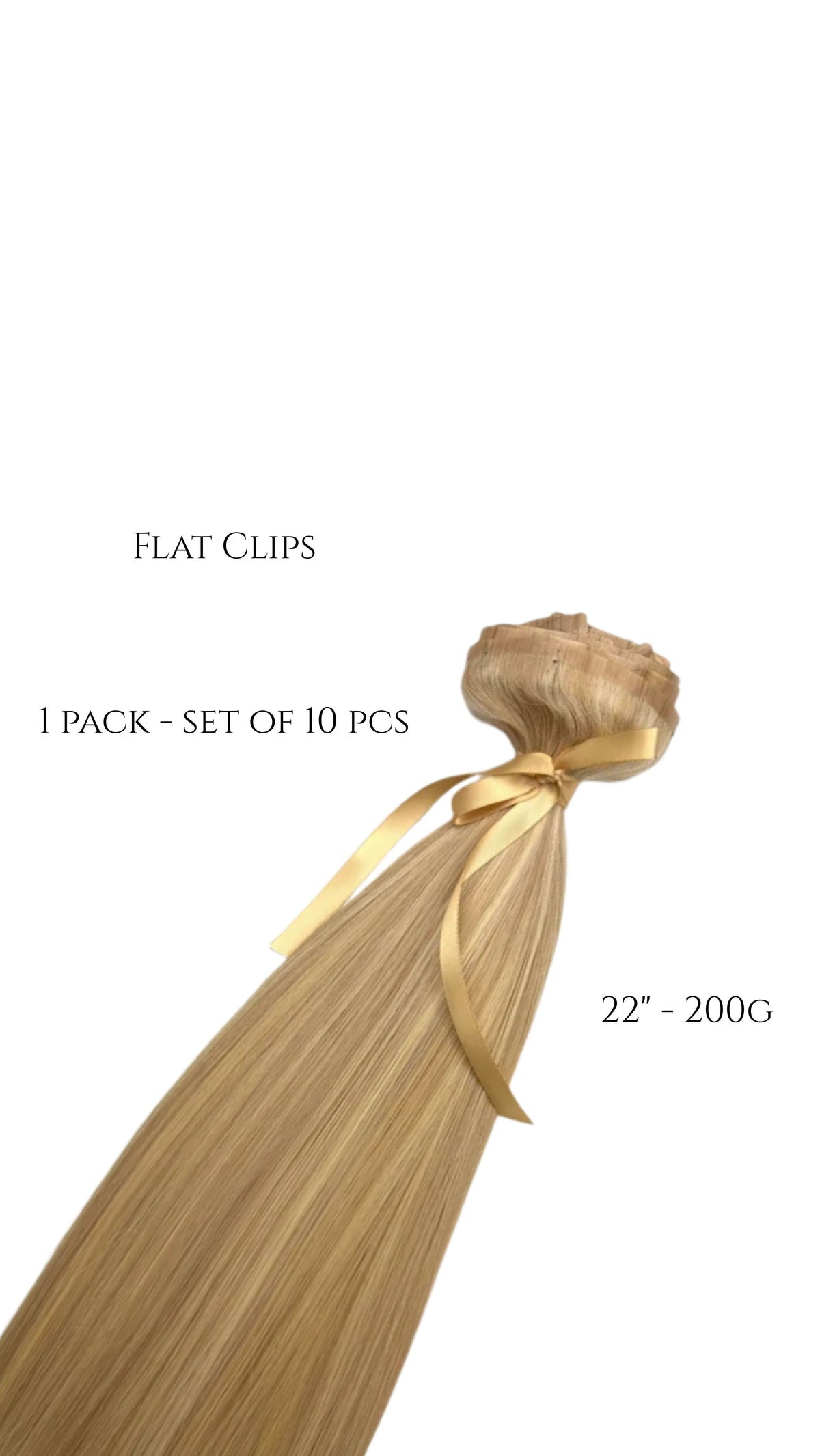 Flat Clips - 1 pack - set of 10 pcs per pack, 22" - 200g