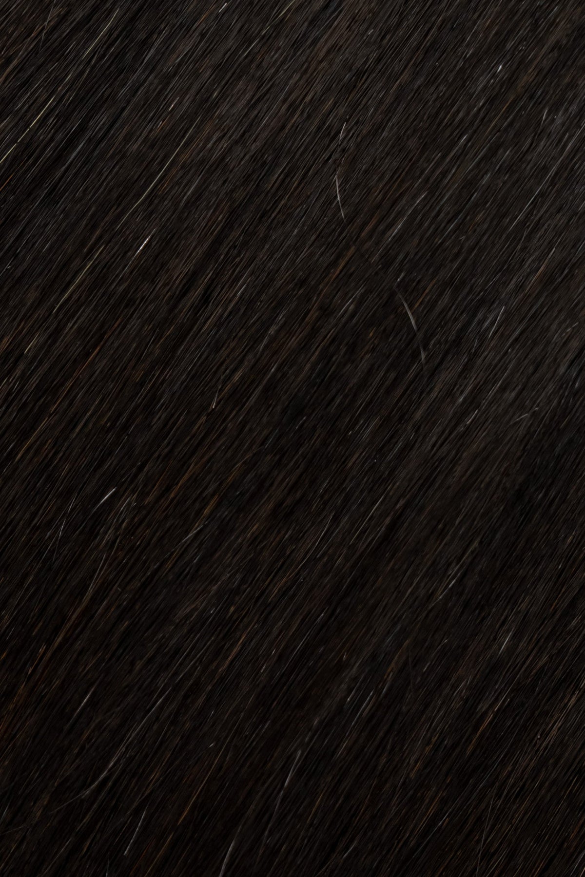 Volume Genius Weft - 1b